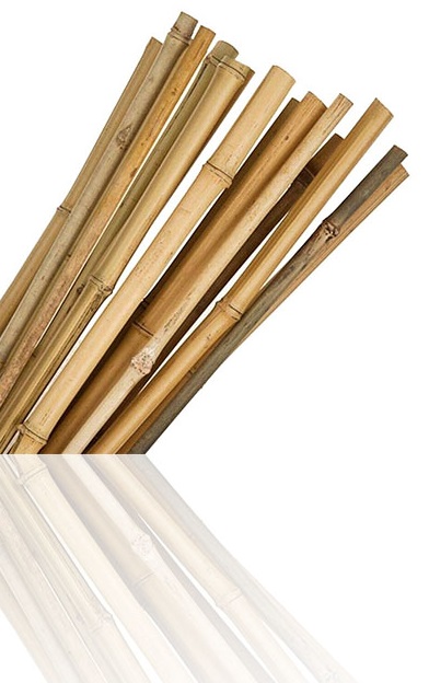 4ft Pack Of 50 Large Thick Bamboo Canes